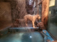 김해시, 영업 중단된 부경동물원 지원…안전한 분양