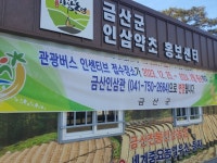 금산군 금산인삼약초시장 홍보매니저 모집