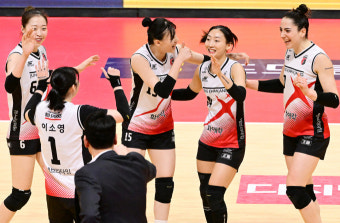 [프로배구] 한국전력·정관장, 나란히 남녀부 3위로 도약