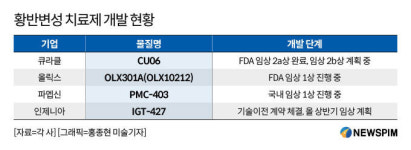 황반변성 치료제 개발 활발…아일리아 뒤이을 신약 나올까