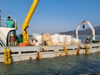 남해군, 강진만 해역 청정어장 재생사업 공모 선정...50억원 확보