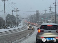 동해시 3월의 폭설로 도로마비...동해평지 14.5cm 적설