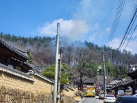 대구 달성군 야산서 산불 41분만에 진화...주변 문화재 확산 차단