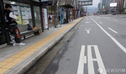버스도 승객도 보기 힘든 시청 버스 정류장