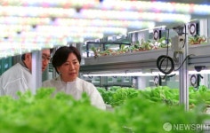 지하철 설치된 수직농장시설 둘러보는 송미령 농식품부 장관