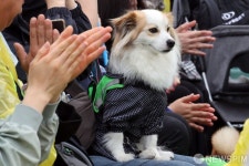 오늘의 주인공은 반려견