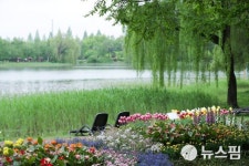 2024고양국제꽃박람회 꽃들의 향연 활짝