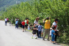양양 명지리 앵두마을 24일 앵두사랑축제 개막