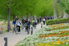 괴산군, 전 군민 자전거보험 가입...전국 어디서나 보장
