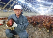 롯데마트슈퍼, 하림과 손잡고 깨끗한농장 토종닭 출시
