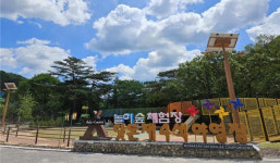 월악산 닷돈재 야영장 놀이·힐링 숲 체험장 내달 1일 개장