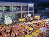 증평군 500년 역사 증평인삼 홍보 박차