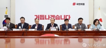 발언하는 황우여 비상대책위원장