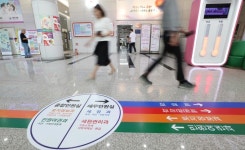 대전 동구, 바닥 안내선 설치...민원인 편의 최선
