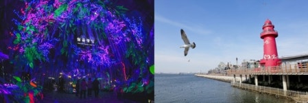 경기관광공사 서부권 광역시티투어 운영...서울 근교 테마 여행