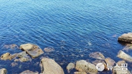 이토록 푸른 속살의 유혹....울진 대나리 앞바다