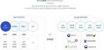 우리동네 감염병 환자 얼마나?…질병청, 발생 현황 대시보드 만든다