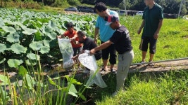 충주시 생태 복원 위해 버들붕어 2000마리 방류