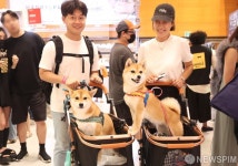 2024 케이펫페어 서울