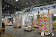 익산 배 300t 수출...배트남·캐나다·대만