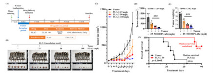 엔지켐생명과학, EC-18 비소세포폐암 동물모델에서 항암 효능 밝혀