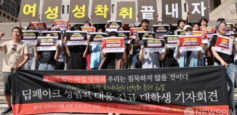 '딥페이크 성범죄 대응'