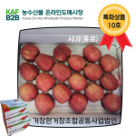나주 배·거창 사과…aT 농수산물 온라인도매시장 특화상품 출시