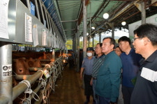 이병노 담양군수, 추석 앞두고 가축시장 현장 방문