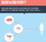 올해 첫 일본 뇌염환자 발생…질병청 