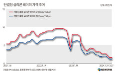 [GAM]소어(小魚) 삼킨 대어(大魚)② 4중고 늪에 빠진 위기의 태양광