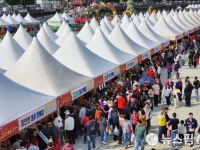 2024 보은대추축제 11일 개막...먹거리·볼거리 풍성