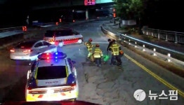 새벽 의왕시 도로 출몰 사슴 1시간 30분 만에 포획...2차 피해 없어