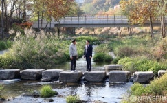 세곡천 찾은 오세훈 시장