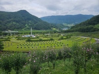 경남 거창사건추모공원, 산림청 무궁화 명소 최우수 선정