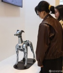 LG전자의 AI 우주 반려 로봇 라이카