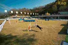 더존비앤씨티, 제3회 KAO 챔피언십 성료…2025 WAO 국가대표 15팀 선발