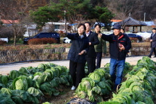 송미령 농식품부 장관 배추가격 평년수준…절임배추 애용해 달라