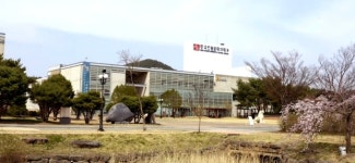 한국전통문화대학교, 국가유산 수리 분야 대상 입학 특별전형 확대