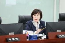 이채영 경기도의원 도, 19년만에 지방채 발행...재정건전성 위협