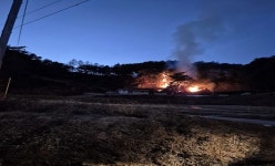 영주 석포리 야산 산불 42분만에 진화...인명피해 없어