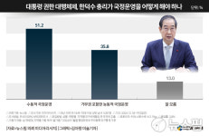 [여론조사] "한덕수 '수동적 국정운영'해야 51.2%" vs "능동적 35.8%"