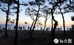 울진 봉평리 방파제 을사년 장엄을 기다리는 해돋이 인파들