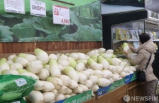 설 명절 성수품 무 값 급등 하나만 구매