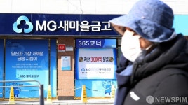 새마을금고 중앙회장 역할 축소된다