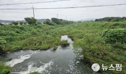 충북도, 하천 오염 시설 12건 적발…고발 등 법적 조치