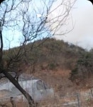 안동 남선면 야산서 산불...진화헬기 3대 투입 진화 중
