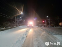 울진 금강송·온정면 4㎝ 눈...제설작업 조기 마무리·피해없어