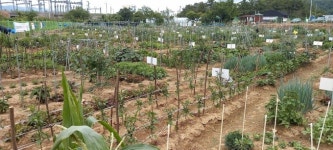 대구 수성구, 2025년 공영도시농업농장 분양자 3~17일 모집