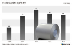 [관세 전쟁] 철강 수출 연간 263만톤 쿼터제 발목…25% 관세까지 설상가상