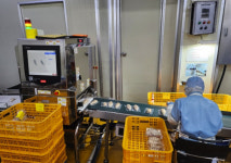 파주시, 노사신묘와 신도비 등 3건 향토유산 지정